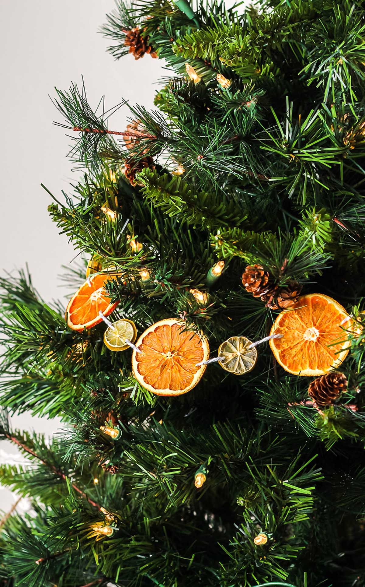 Homemade Dried Orange Garland Christmas Decoration