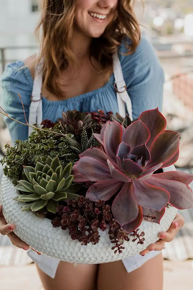 An Open Surface? Nope, that’s a Plant Shelf