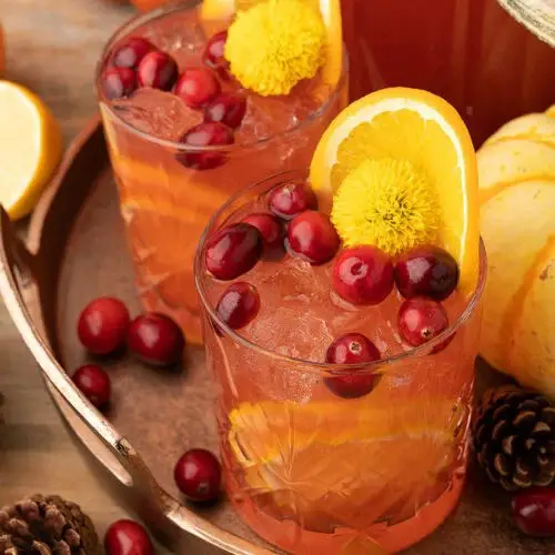 Cranberry Orange Prosecco Punch Recipe