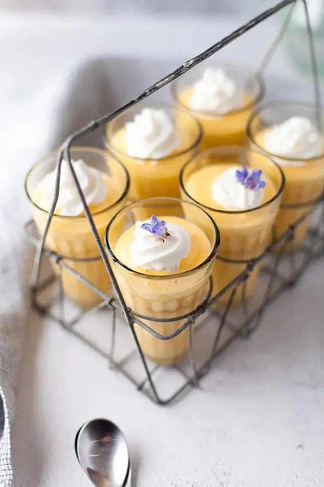 Mango Yogurt Mousse  Pudding Dessert