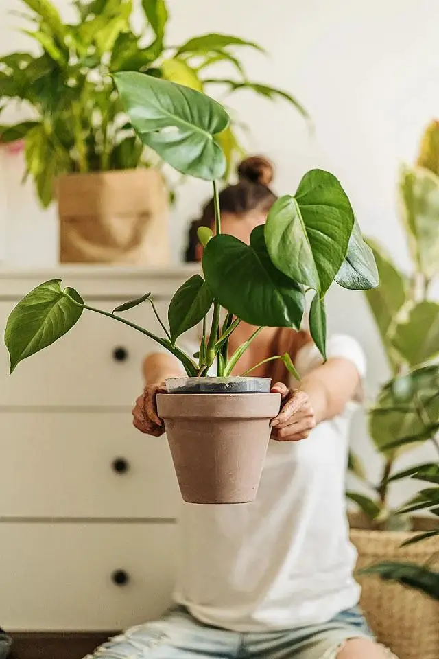 All the Things Every Plant Parent Knows