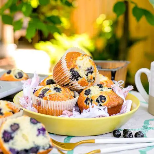 Jumbo Blueberry Muffins Recipe