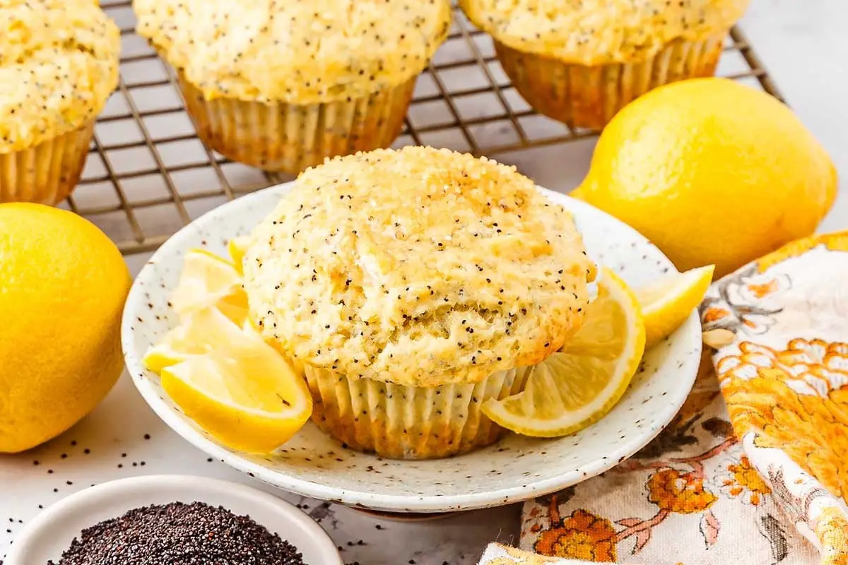 Lemon Poppy Seed Muffin FAQs