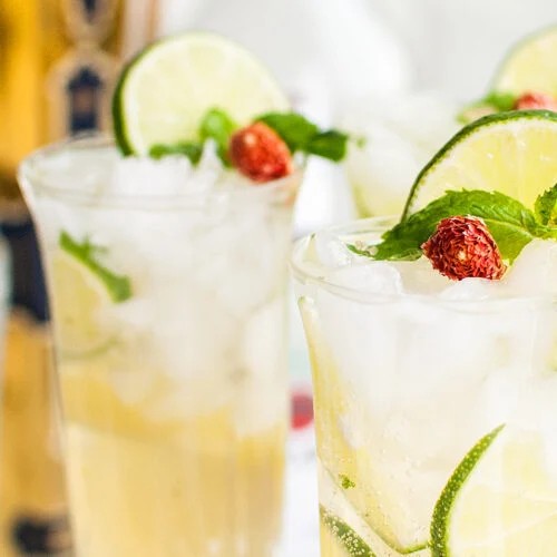 Elderflower Mojito Rum Cocktail Recipe