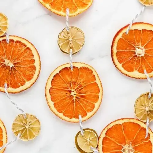 How to Make a Dried Citrus Holiday Garland