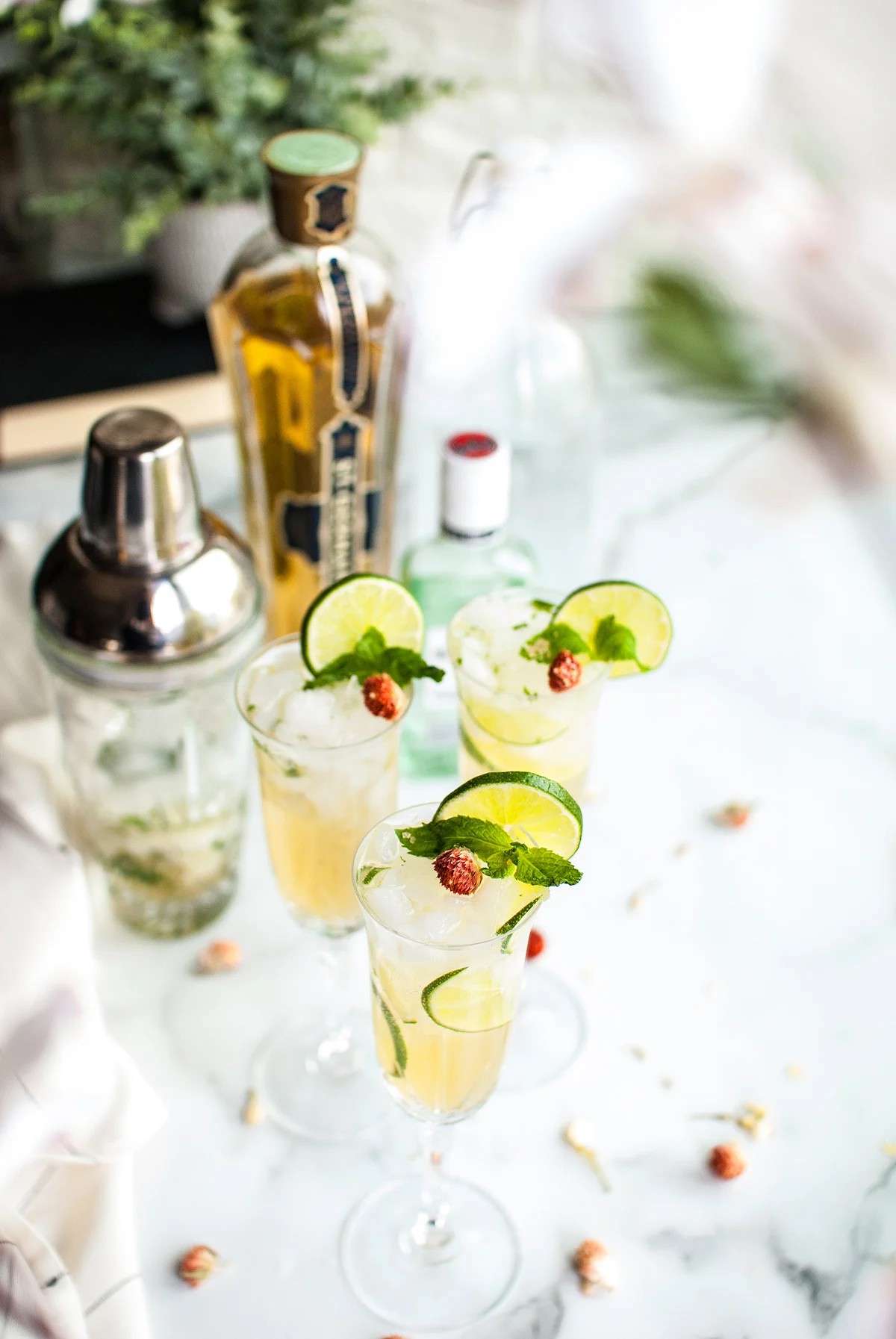 How to Make this Fancy Mojito